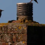 northpointroofingsystemscom_741122477