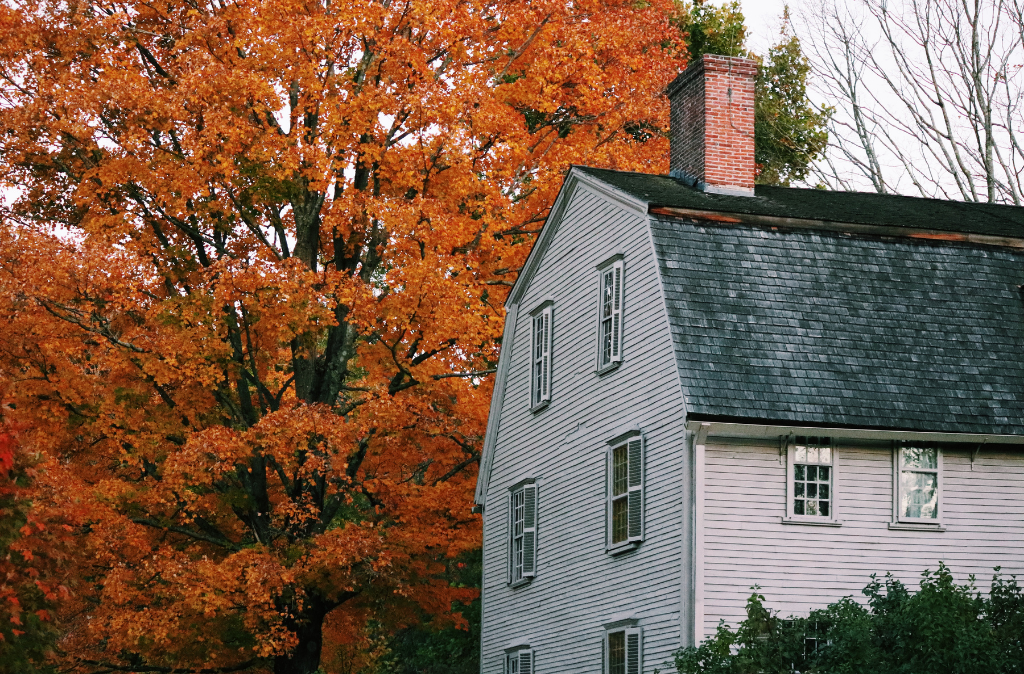Roof Replacement